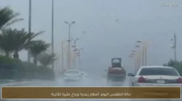 أمطار رعدية ورياح مثيرة للأتربة تسيطر على حالة الطقس في البلاد اليوم